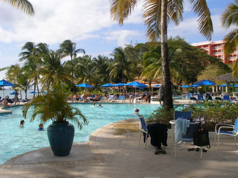 How to Start a Business in St. Lucia