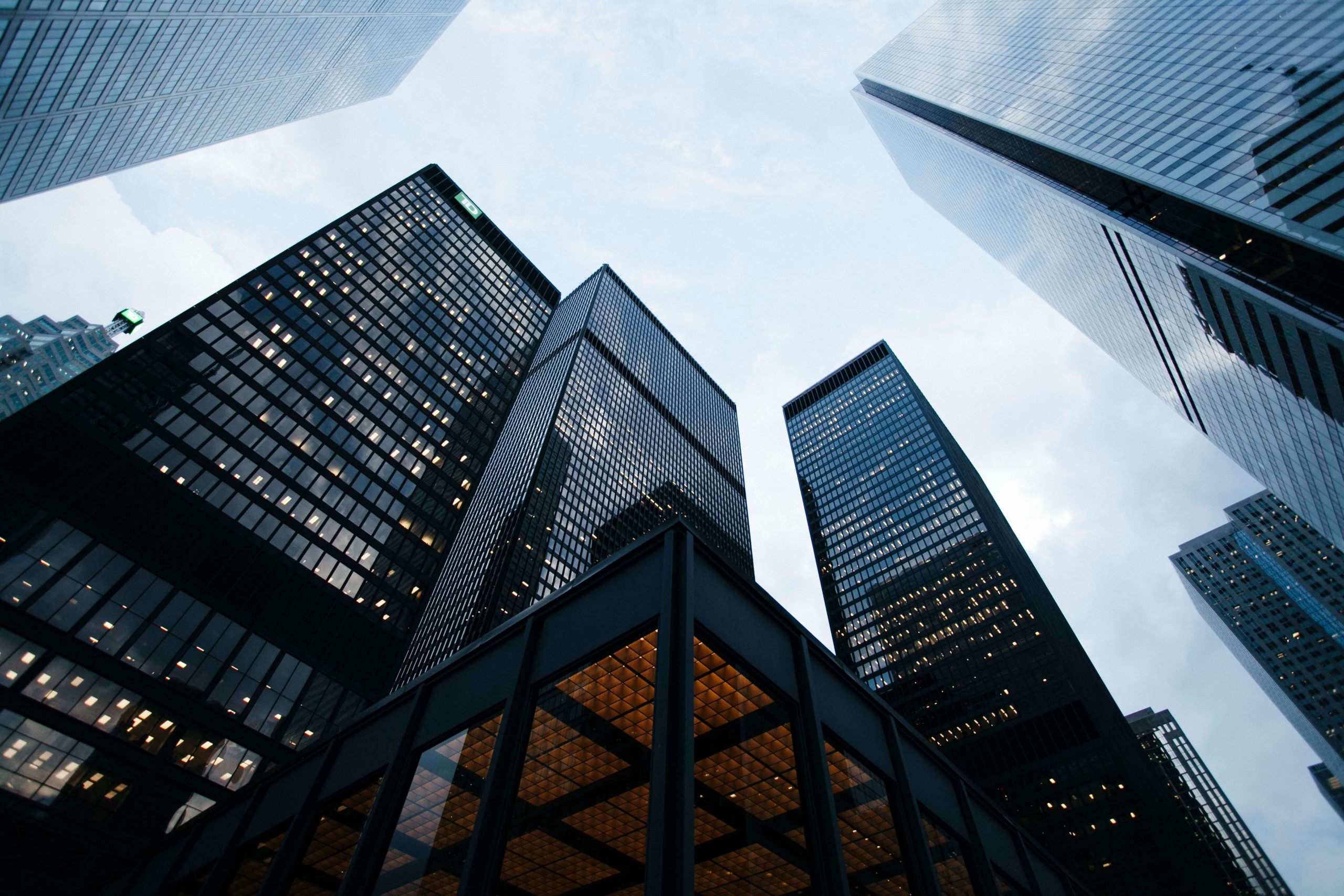 Transformation consultant analyzing business processes with client at The Business Architect Firm